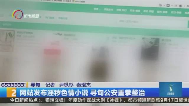 网站发布淫秽色情小说 寻甸公安重拳整治