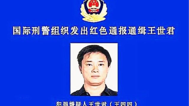 山西通报“国际红通人员王世君”涉黑案:23名主犯人员被批捕