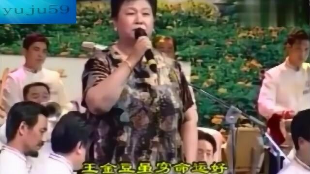 杨海峰豫剧《王金豆借粮》