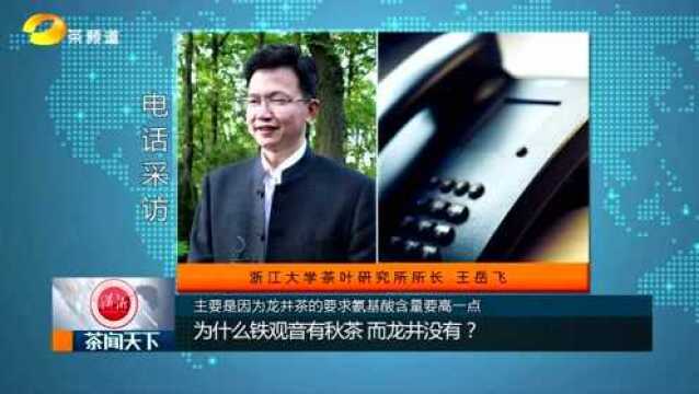 浙江大学茶学专家王岳飞:为什么铁观音有秋茶 而龙井没有?