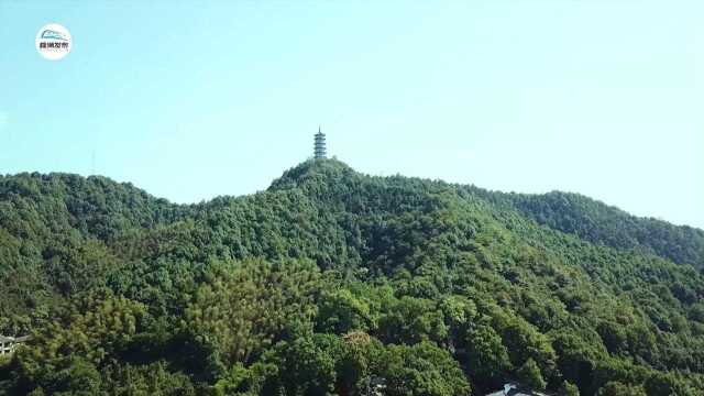 株洲特色乡镇——仙庾岭镇