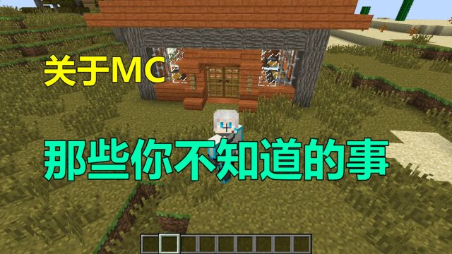 我的世界Minecraft:关于MC那些你不知道的事儿