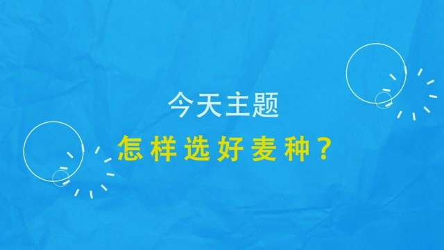 《老毛话农业》第二期:怎样选好麦种