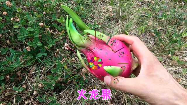 认识火龙果等8种水果蔬菜