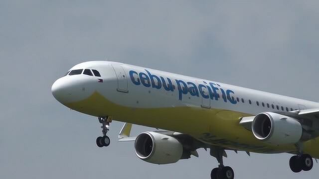 宿务太平洋航空空客A321200 RPC4114航班飞机