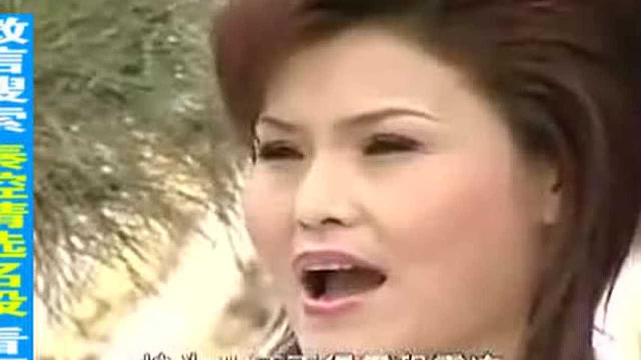 秦腔商芳会朱春登哭坟朱春登跪席棚泪如泉涌