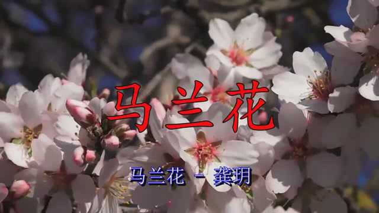 天籁之音《马兰花,只听一遍就喜欢!_腾讯视频