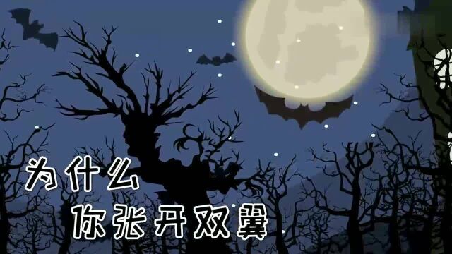 黑夜骑士蝙蝠