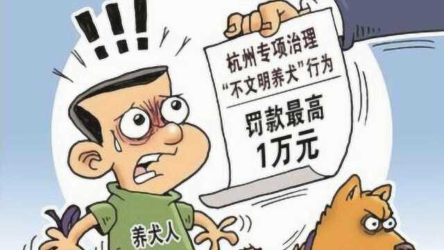 杭州4天受理办狗证万余件,2人造谣城管打狗被查处:罚500拘7天