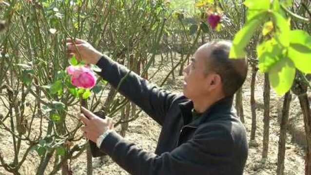 绿水青山润荆楚!水土保持综合治理,助力生态旅游!