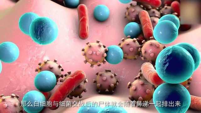 科学解释,为什么感冒的时候会鼻塞?