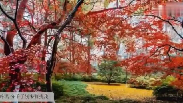 聆听大自然感受世界风景冷漠分手了别来打扰我