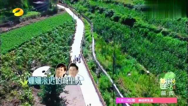 因为大华黄磊何炅三人名字都有H,干脆就直接把小狗狗叫做小H