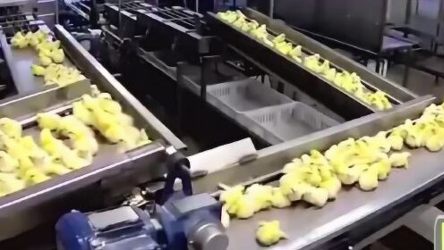 Thumbplayer Poster Plugin Image