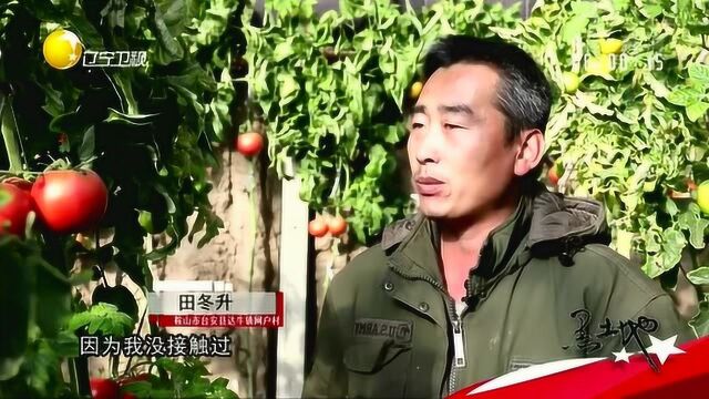 鞍山:科技进大棚减少投入增加收入,农户轻松挣钱不费力