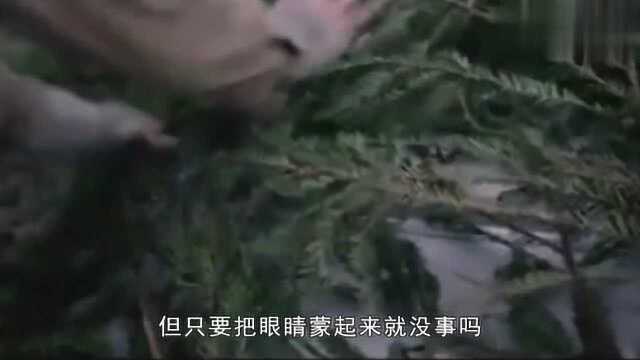 继《寂静之地》之后,又一恐怖片《闭上你的眼》让人不敢直视一切