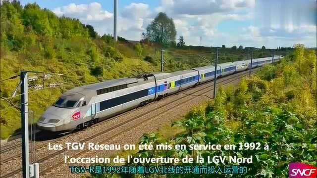 不同种类的TGV列车,高速动车组