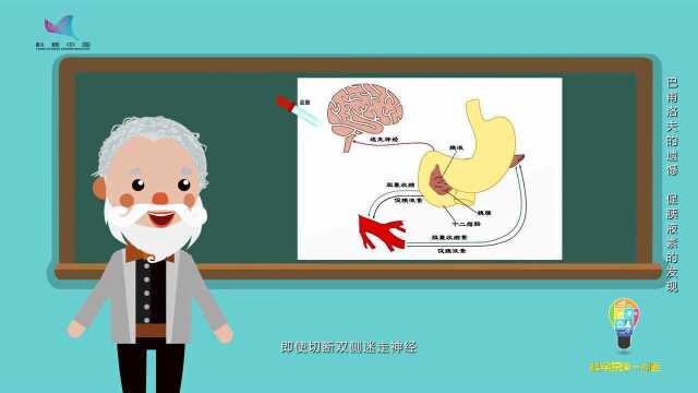 巴甫洛夫的遗憾——促胰液素的发现