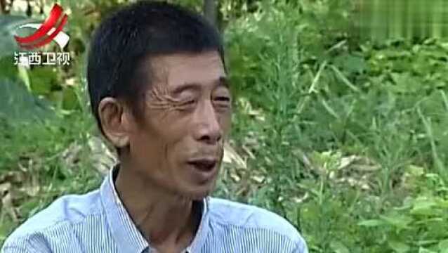 湖南新化双江村前后5年烧200多次特大“鬼火”,恐怖异常