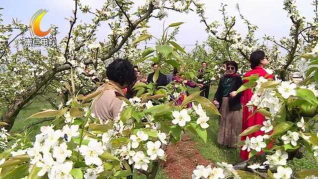 我县打好乡村旅游牌 促进多产业融合发展