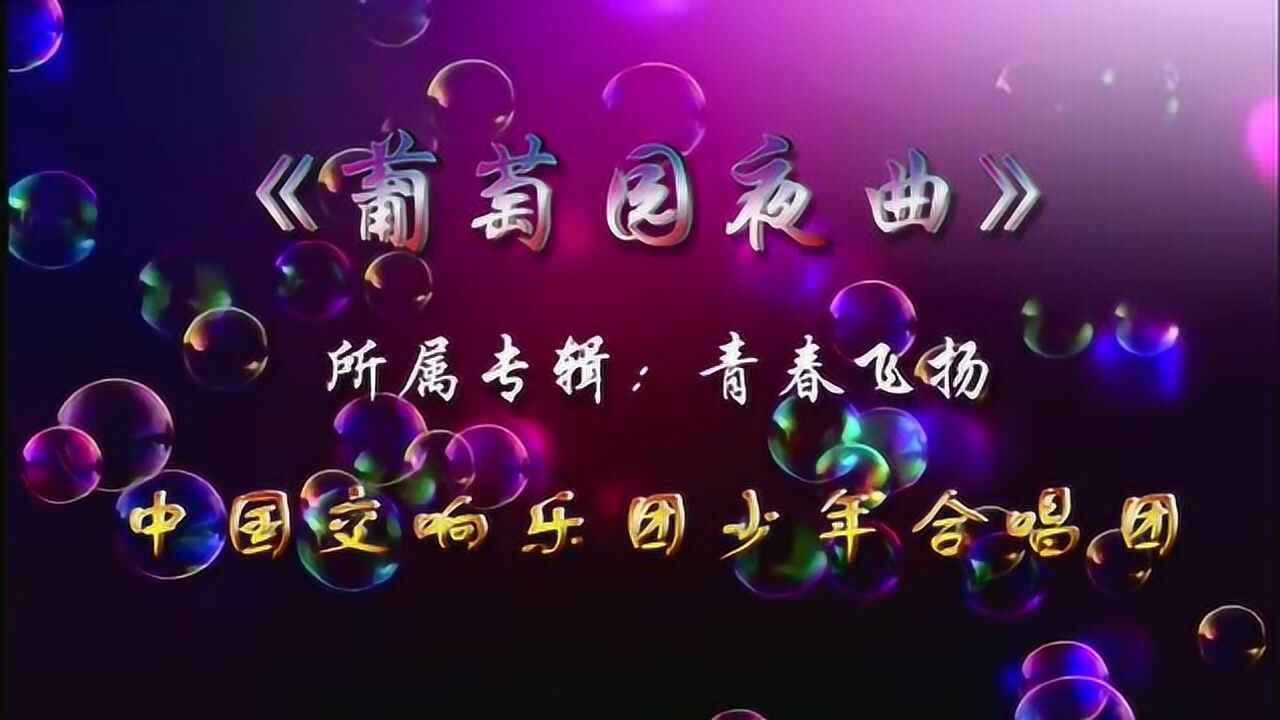 葡萄园夜曲