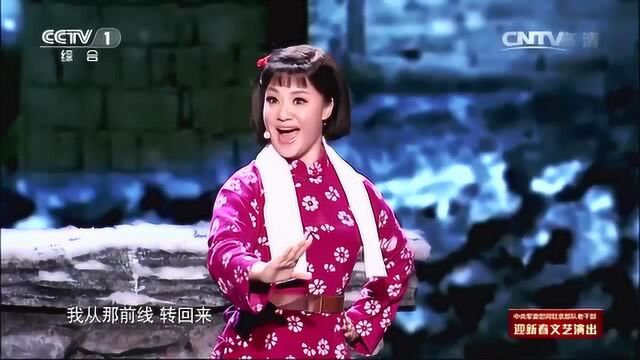 王丽达演唱《数九寒天下大雪》,歌声嘹亮,动听心弦