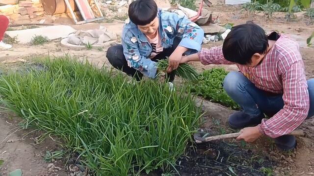 农家小媳妇用家种的韭菜做菜盒子,大铁锅一烙,看着都好吃