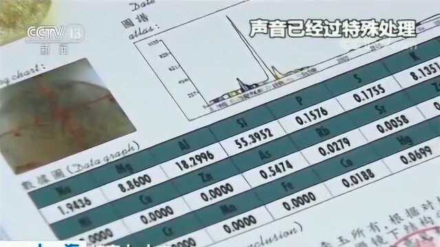 乔装客户 打入拍卖公司内部调查