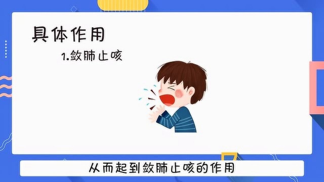 乌梅有很多功效和用途,你知道吗