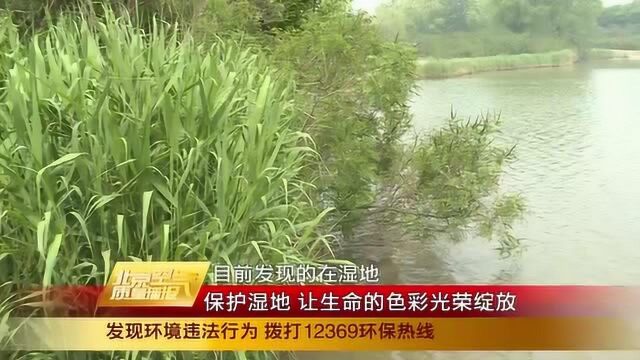 保护湿地 让生命的色彩光荣绽放