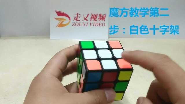 三阶魔方复原教程第二步 白色十字架