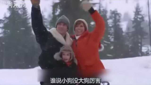 《雪狗兄弟》第六集