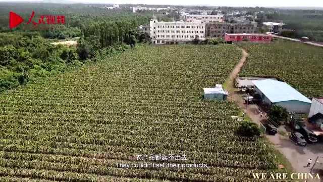 人民网海外版英语、俄语等9种外语向世界推广海南脱贫攻坚经验