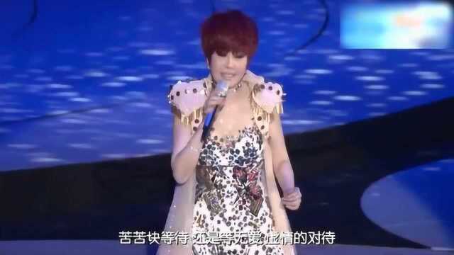 江蕙《伤心酒店》闽南语歌曲,凄美伤感