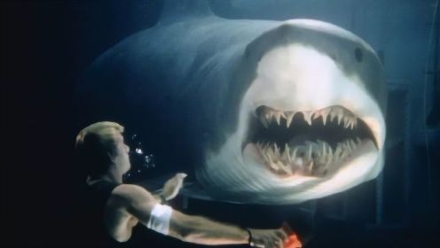 世界上所有鲨鱼电影，只有这一部最过瘾，够变态、够重口