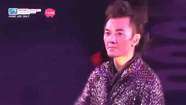 一生爱你一个 2011 演唱会版