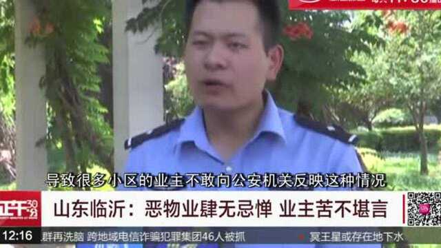 扫黑除恶:恐吓业主砸车 山东临沂恶物业落网