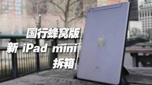 国行蜂窝版iPad mini拆箱:随时随地联网打游戏