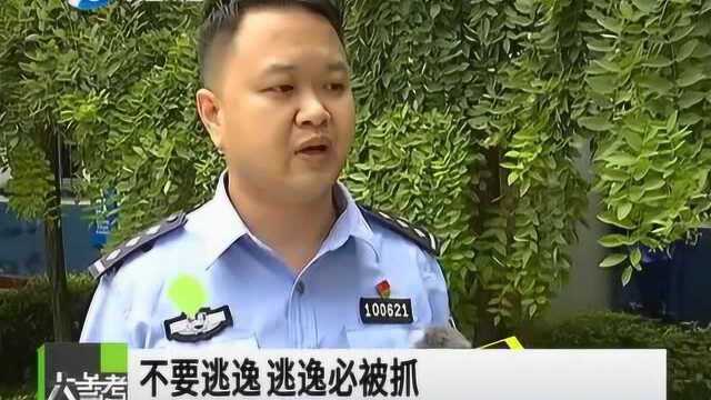 巩义市发生一起交通肇事致人死亡逃逸案,警方6小时破获