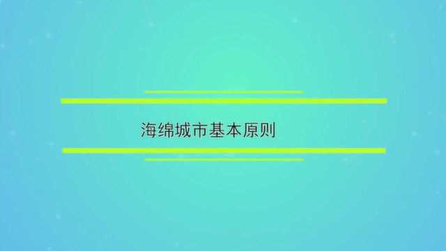 海绵城市基本原则