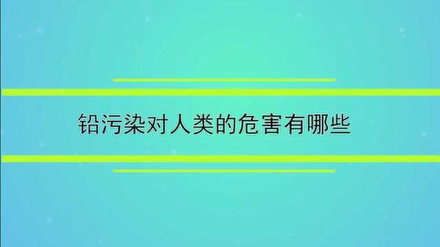 铅污染对人类的危害有哪些