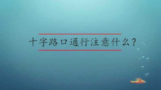 十字路口通行应该注意什么?