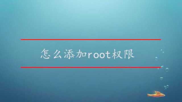 怎么添加root权限