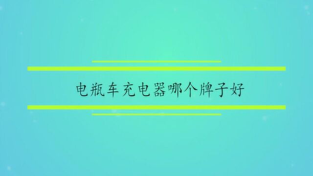 电瓶车充电器哪个牌子好