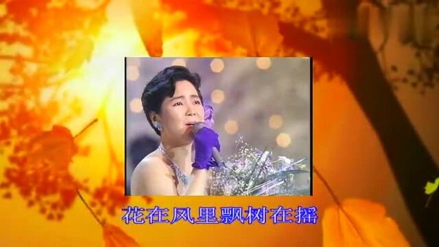 邓丽君演唱老歌《枫叶飘飘》,深情动人,唱出那爱人深深地思念