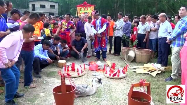 广西玉林农村祖厅升座习俗,全村人都出动了,这种习俗你们见过吗