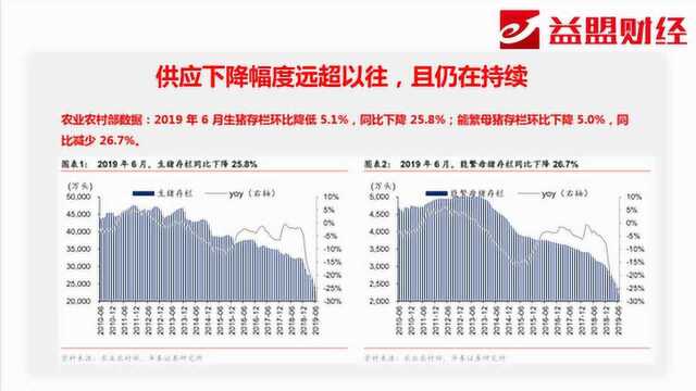 主题分享:量跌价升带动行情上攻 如何看待生猪概念后市机会?