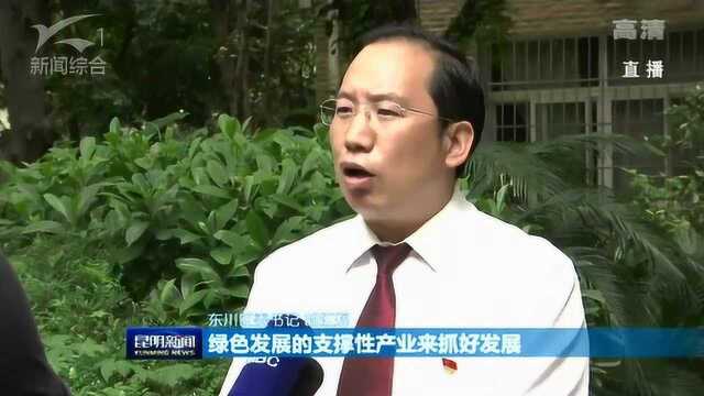 东川区:构建五大产业体系 巩固脱贫成果