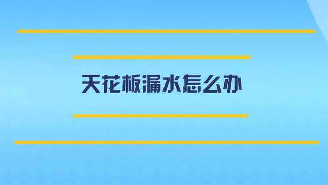 卫生间天花板漏水怎么办