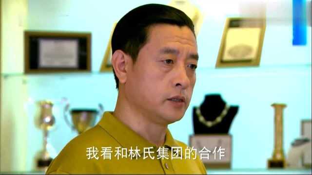 因为爱情有多美:林氏集团出事,合作伙伴纷纷落井下石,难翻身了